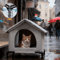 Warm Waterproof Stray Cat House With Insulated Mat Foldable Outdoor Pet Cave Bed For Cats Small Do 0