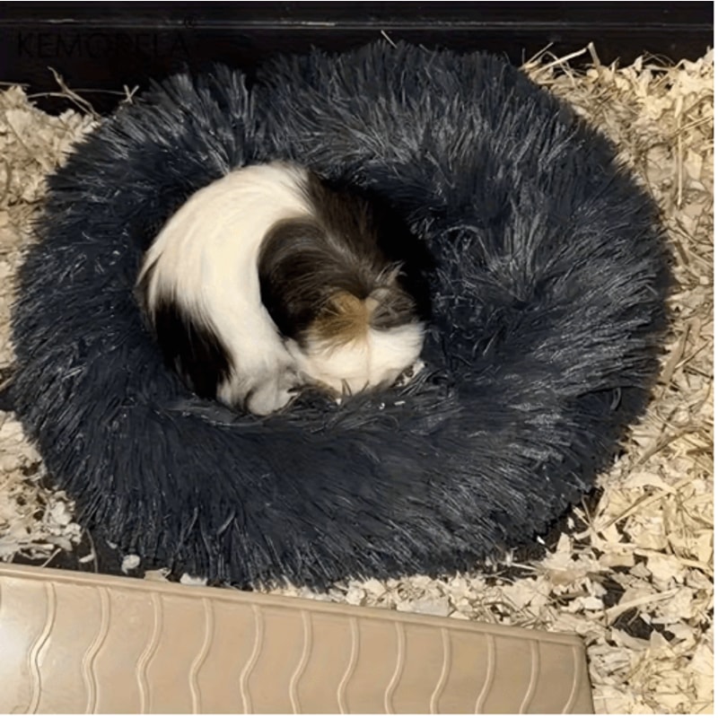Ultra Soft Plush Small Pet Nest Cozy Warm Hamster Sleeping Bed With Non Slip Base 7