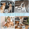 AntiSpill Stainless Steel Dog Water Bowl Floating Disk Slow Drinking Bowl For Clean Dry Mouths 5