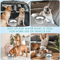 AntiSpill Stainless Steel Dog Water Bowl Floating Disk Slow Drinking Bowl For Clean Dry Mouths 5