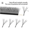 XIUSUZAKI W Shaped Bloom Premade Fan Lash Extensions 2D To 8D YY Style 2