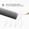 XIUSUZAKI W Shaped Bloom Premade Fan Lash Extensions 2D To 8D YY Style 10