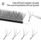 XIUSUZAKI W Shaped Bloom Premade Fan Lash Extensions 2D To 8D YY Style 3