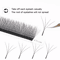 XIUSUZAKI W Shaped Bloom Premade Fan Lash Extensions 2D To 8D YY Style 9