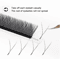 XIUSUZAKI W Shaped Bloom Premade Fan Lash Extensions 2D To 8D YY Style 11