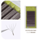 GLAMLASH 4D5D WShaped Premade Volume Lash Extensions Soft Faux Mink 1