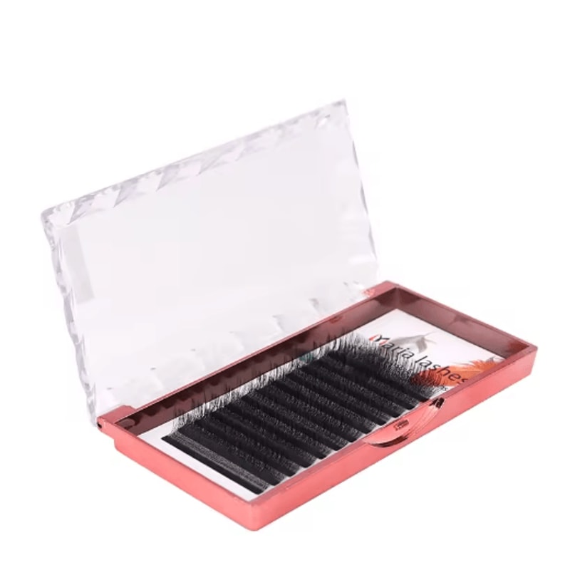 MARIA 5D WStyle Premade Volume Lash Extensions Easy Fan Soft Natural 12 Rows 2