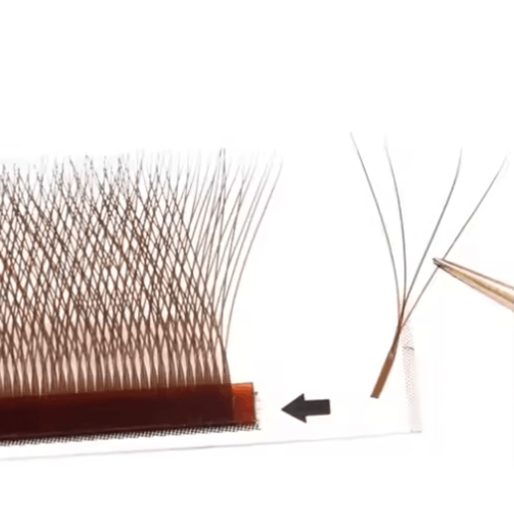 MARIA 4D W Shaped Beam Lash Extensions Easy Fan Russian Volume Clusters 1