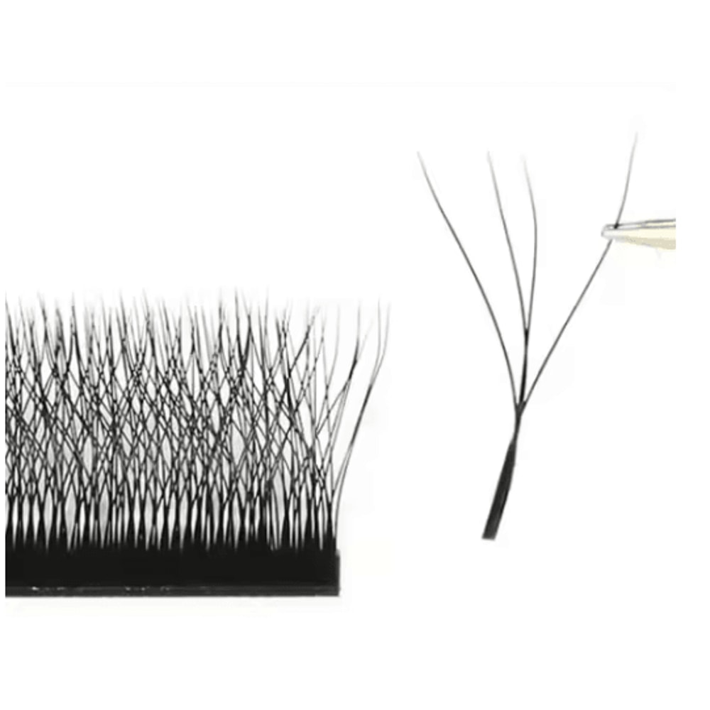 MARIA 4D W Shaped Beam Lash Extensions Easy Fan Russian Volume Clusters 2