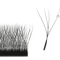 MARIA 4D W Shaped Beam Lash Extensions Easy Fan Russian Volume Clusters 2