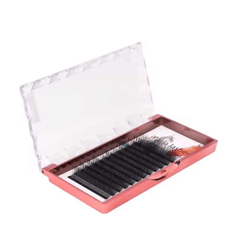 MARIA 3D W Shaped Soft Lash Extensions 007 Easy Fan Y Clusters Wholesale Private Label 2