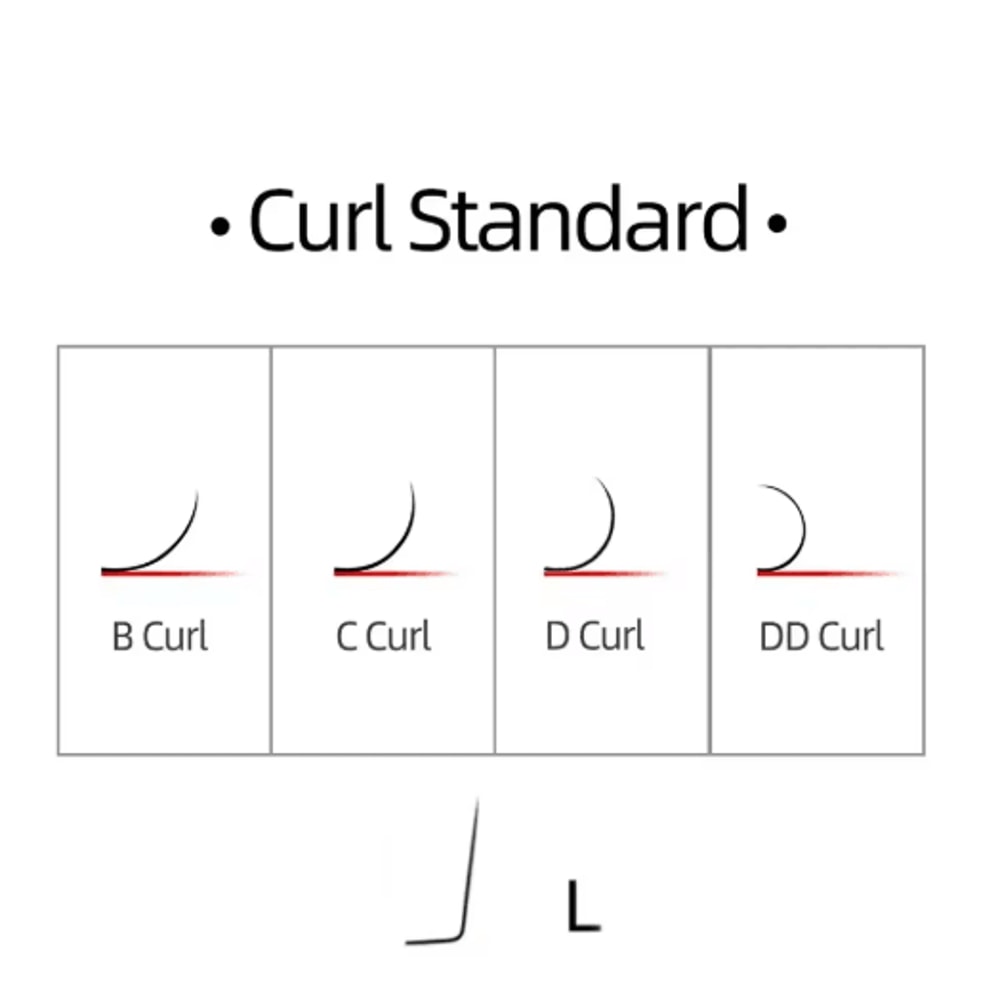 MARIA 3D W Shaped Soft Lash Extensions 007 Easy Fan Y Clusters Wholesale Private Label 4