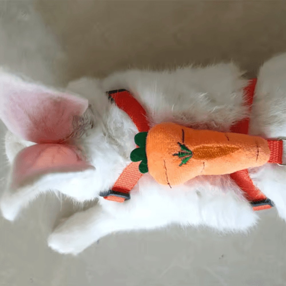 Adjustable Rabbit Harness And Leash Set For Small Animals Cute And Secure Outdoor Walking Gear 8