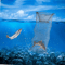 Collapsible Fish Trap Net For Crayfish Crab And Shrimp Telescopic Foldable Fishing Cage 5