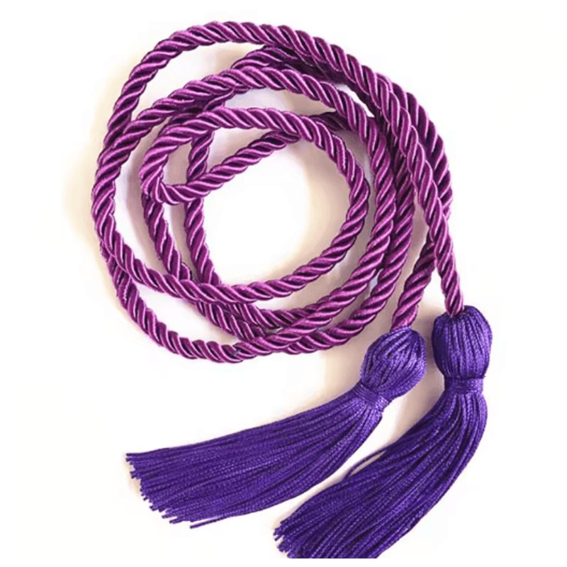 Graduation Honor Cords Braided Tassel Rope For Bachelor Gown 1 Yo 2PCS 20