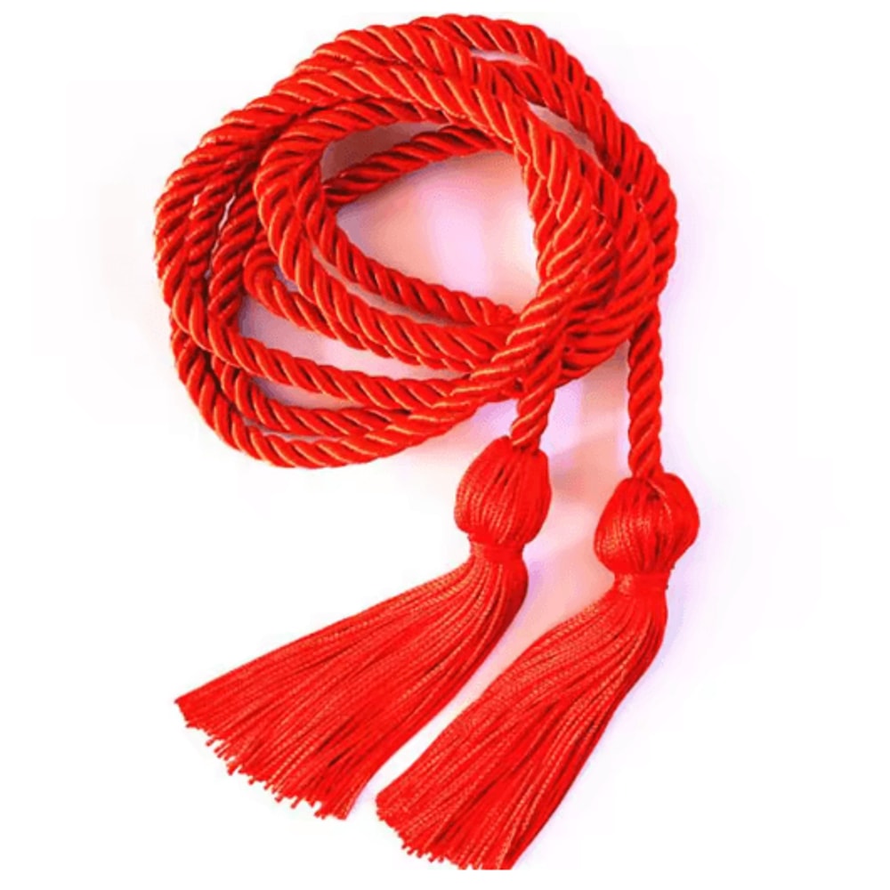 Graduation Honor Cords Braided Tassel Rope For Bachelor Gown 1 Yo 2PCS 26