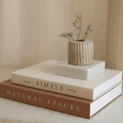 2-piece bohemian faux book decorative stack set