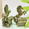 Brass Zodiac Horse Feng Shui Mini Statue For Home Office Decor 2