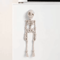 Poseable Magnetic Skull Fridge Magnet With Movable Joints 1