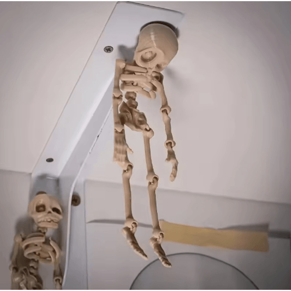 Poseable Magnetic Skull Fridge Magnet With Movable Joints 5