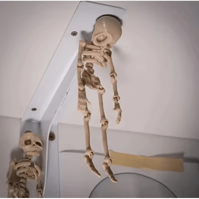 Poseable Magnetic Skull Fridge Magnet With Movable Joints 5