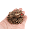 Feng Shui Golden Toad Money Statue Lucky Fortune Wealth Frog Tabletop Ornament 5
