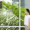 Telescopic Glass Cleaning Mop Long Handle Window Wiper Brush For Home Cleaning 9
