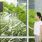 Telescopic Glass Cleaning Mop Long Handle Window Wiper Brush For Home Cleaning 9