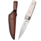 EdgePro Stainless Steel Fruit And Steak Kitchen Utility Knife 2