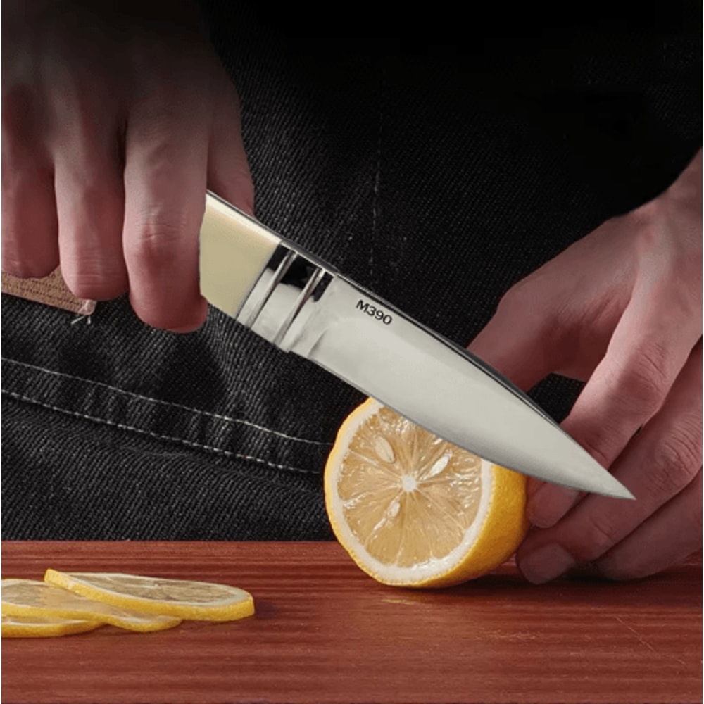 EdgePro Stainless Steel Fruit And Steak Kitchen Utility Knife 4