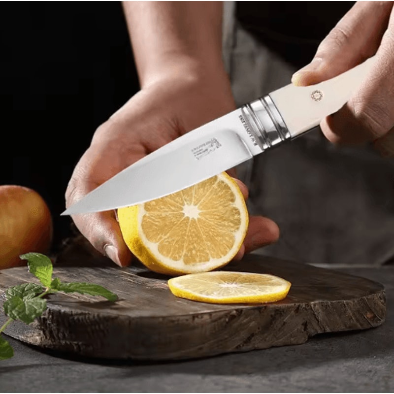 EdgePro Stainless Steel Fruit And Steak Kitchen Utility Knife 5