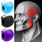 Silicone Jaw Exerciser Ball Face Fitness Trainer For Jawline And Facial Muscle Toning 7
