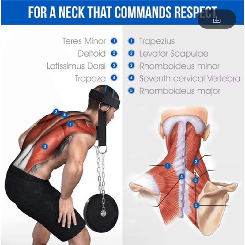 IronCore Adjustable Head Harness For Neck Strength Training 3