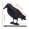 Realistic Black Crow Decoy For Garden Bird Control And Yard Decor 1