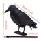 Realistic Black Crow Decoy For Garden Bird Control And Yard Decor 1
