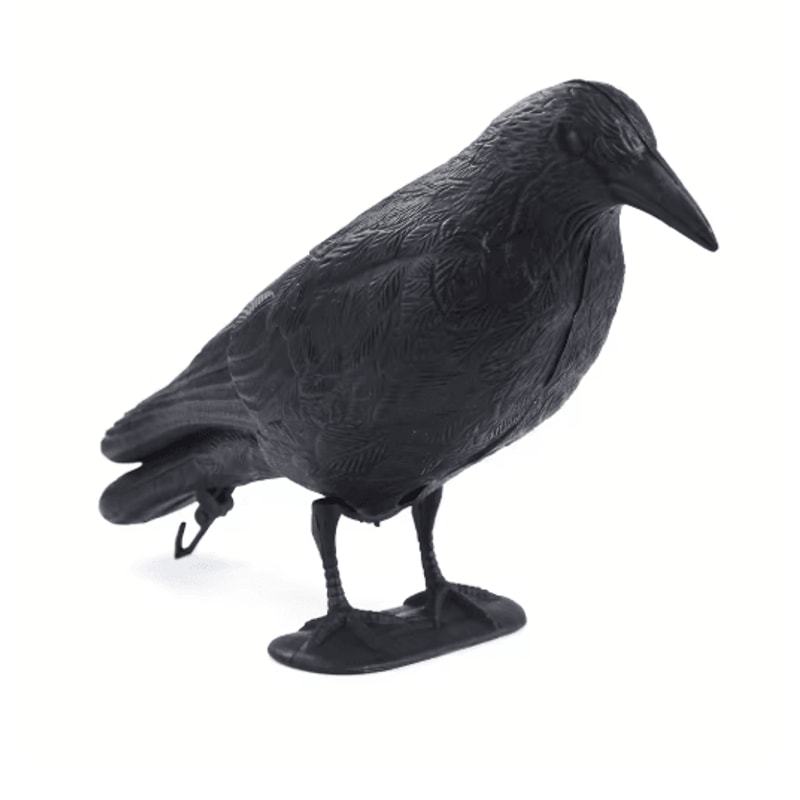Realistic Black Crow Decoy For Garden Bird Control And Yard Decor 2