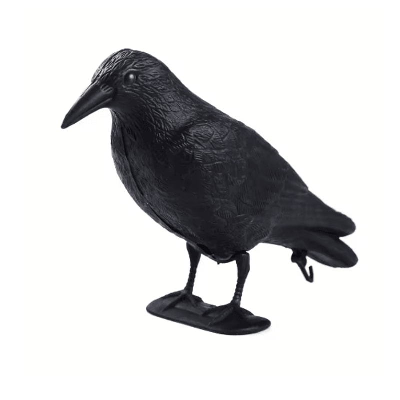 Realistic Black Crow Decoy For Garden Bird Control And Yard Decor 3