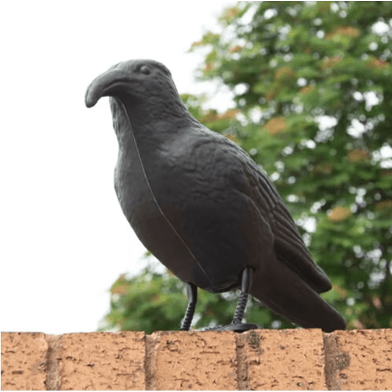 Realistic Black Crow Decoy For Garden Bird Control And Yard Decor 5