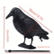 Realistic Black Crow Decoy For Garden Bird Control And Yard Decor 6