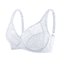 Elegant Lace Plus Size Lace Bra Full Coverage Support For C To F Cup 1
