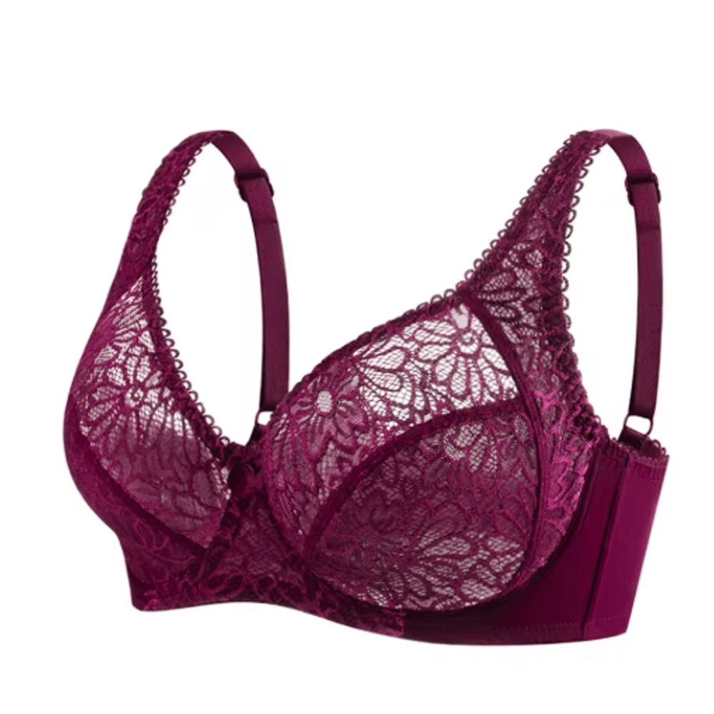 Elegant Lace Plus Size Lace Bra Full Coverage Support For C To F Cup 2