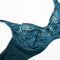Elegant Lace Plus Size Lace Bra Full Coverage Support For C To F Cup 10