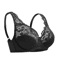 Floral Sheer Plus Size Lace Bra With Underwire Support 3