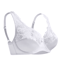 Floral Sheer Plus Size Lace Bra With Underwire Support 4