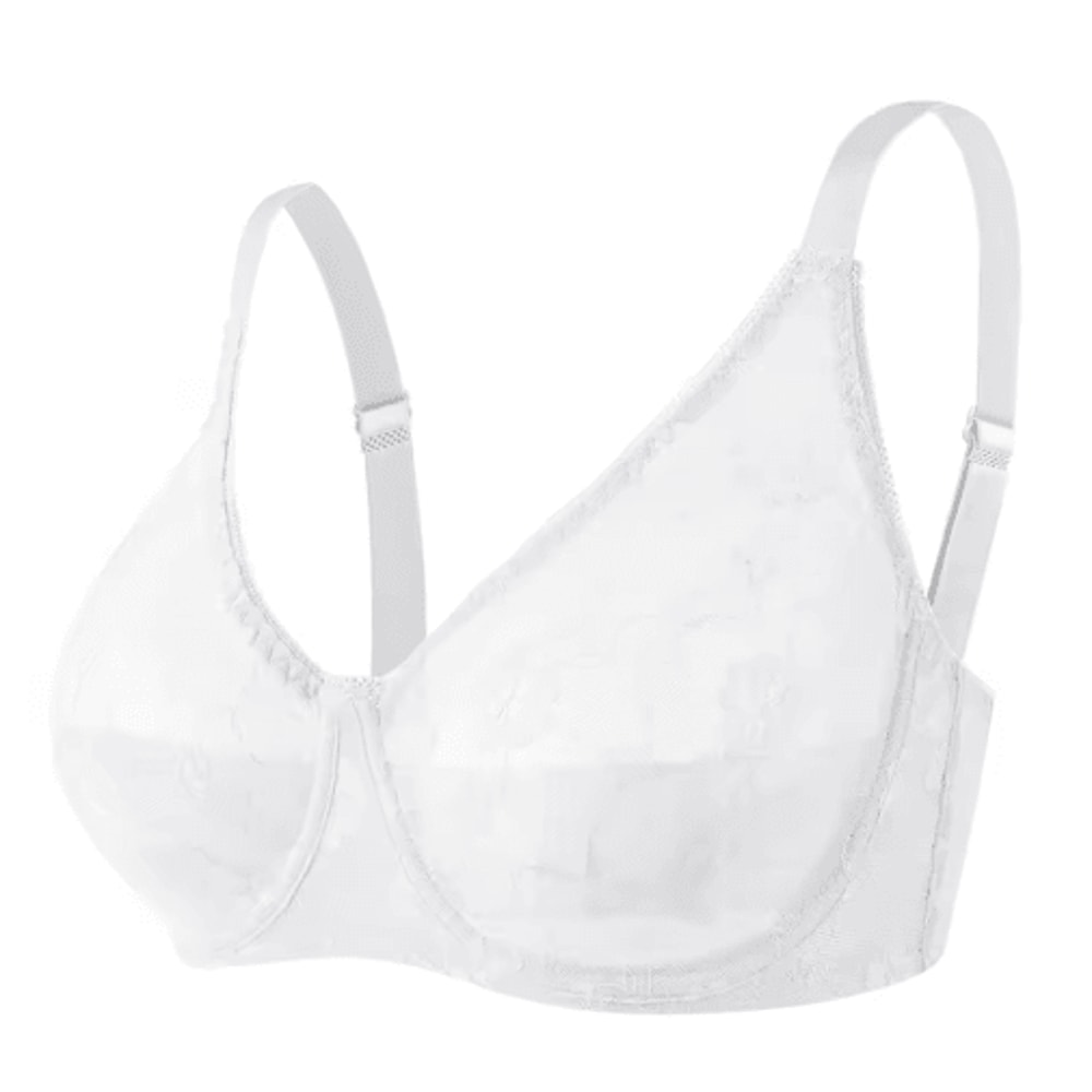 Sheer Lace Plus Size Underwire Bra For BF Cups 1