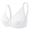 Sheer Lace Plus Size Underwire Bra For BF Cups 1