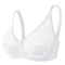 Sheer Lace Plus Size Underwire Bra For BF Cups 1
