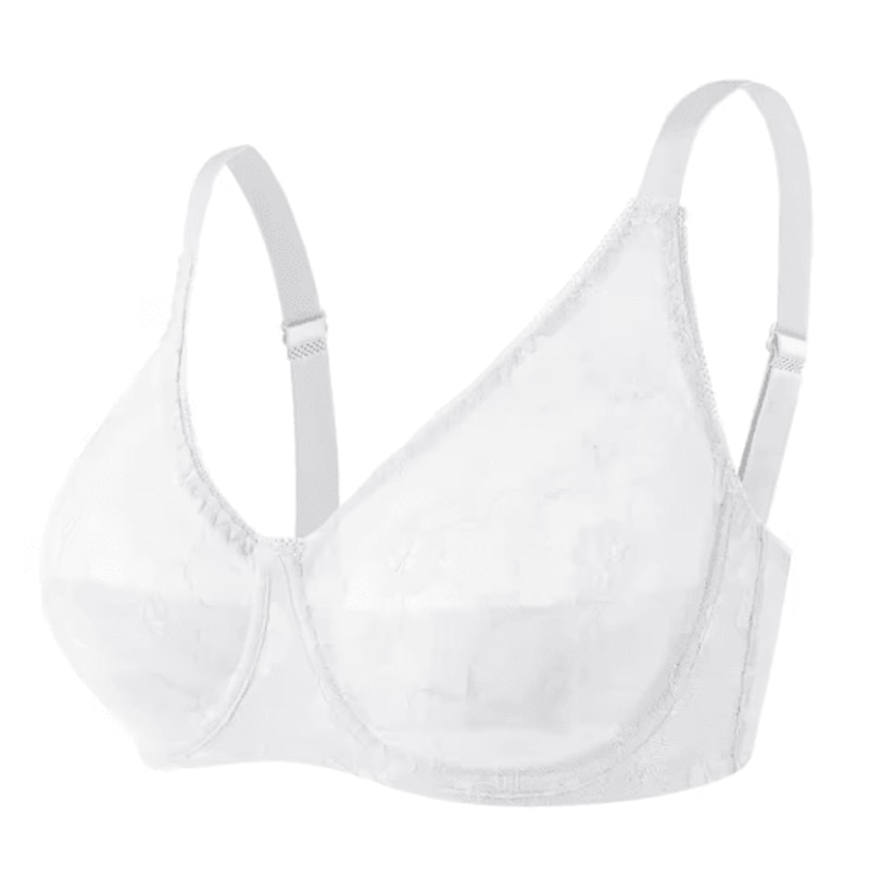 Sheer Lace Plus Size Underwire Bra For BF Cups 1