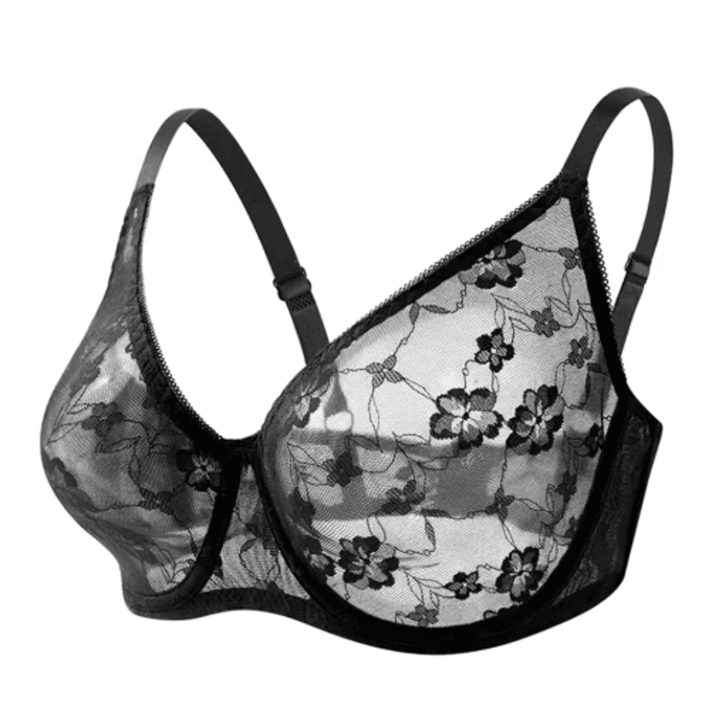 Sheer Lace Plus Size Underwire Bra For BF Cups 2