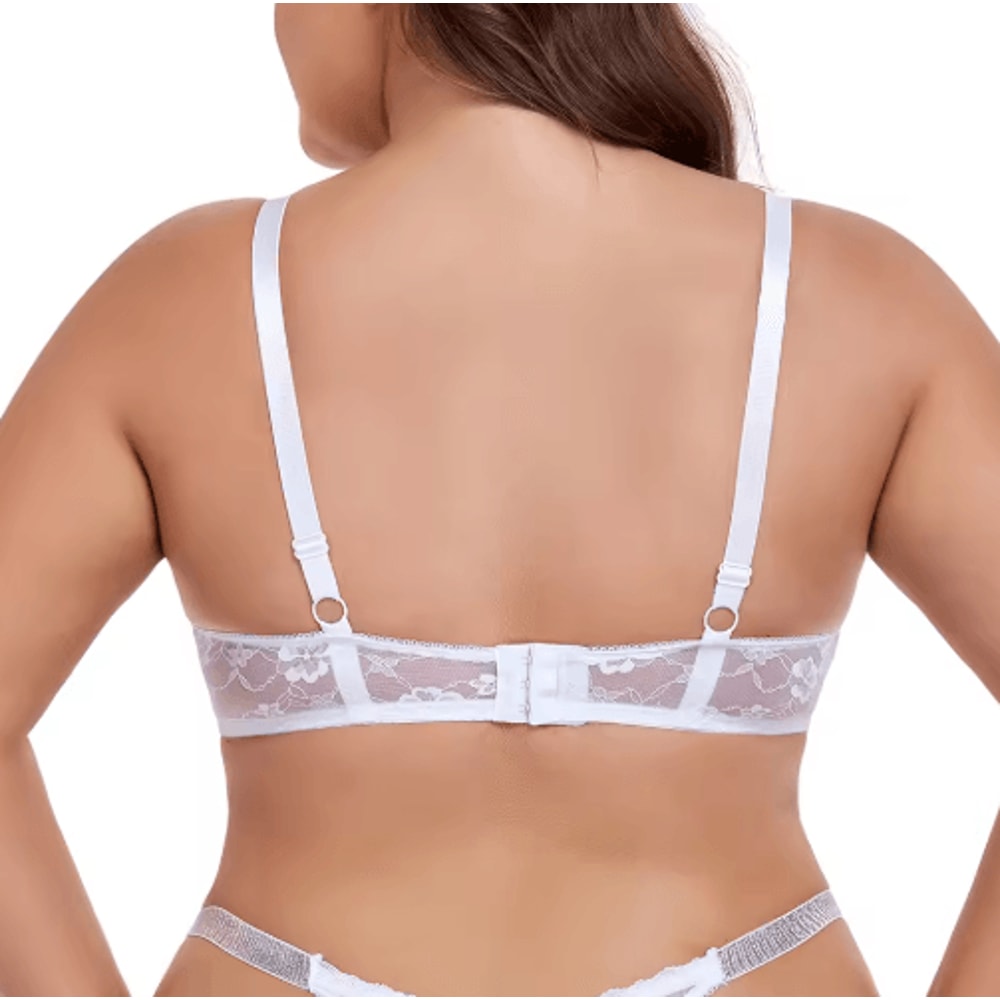 Sheer Lace Plus Size Underwire Bra For BF Cups 6